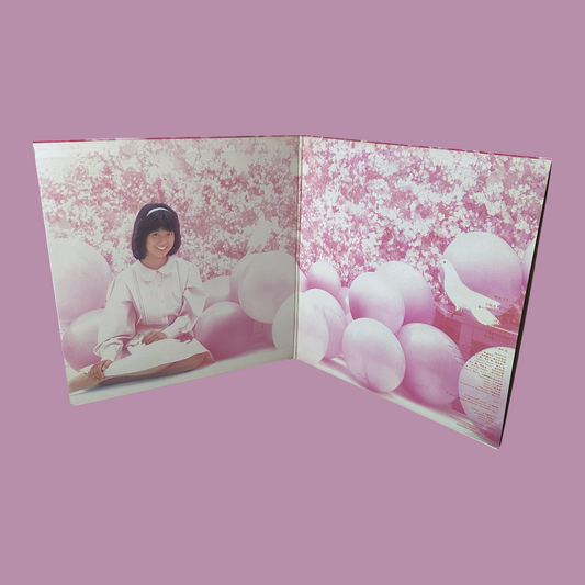 CHIEME HORI – 夢日記 (Yume Nikki) Vinyl Record LP