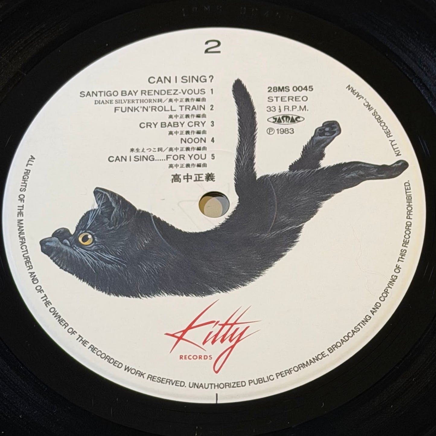 MASAYOSHI TAKANAKA - Can I Sing? Vinyl Record LP (1983)