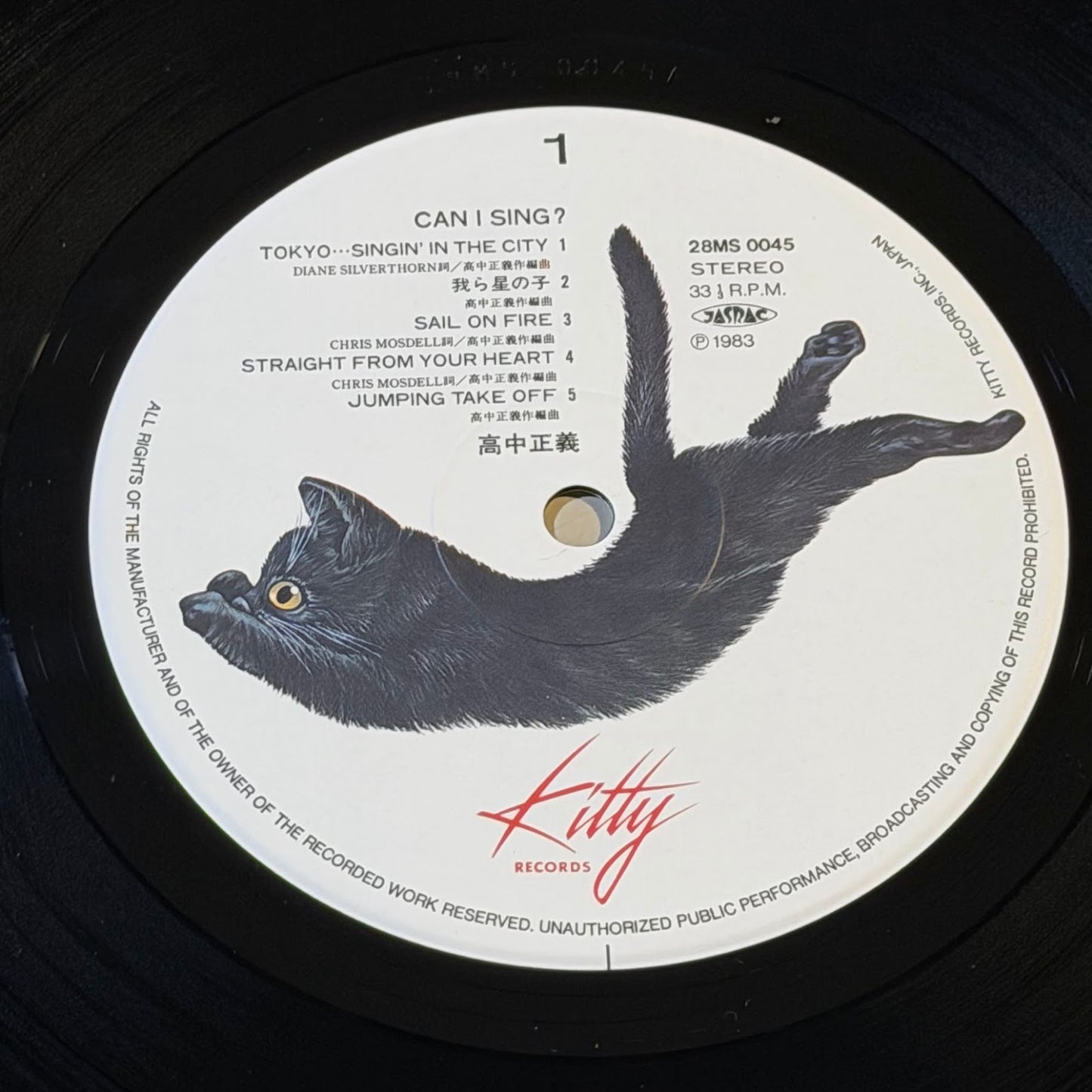 MASAYOSHI TAKANAKA - Can I Sing? Vinyl Record LP (1983)