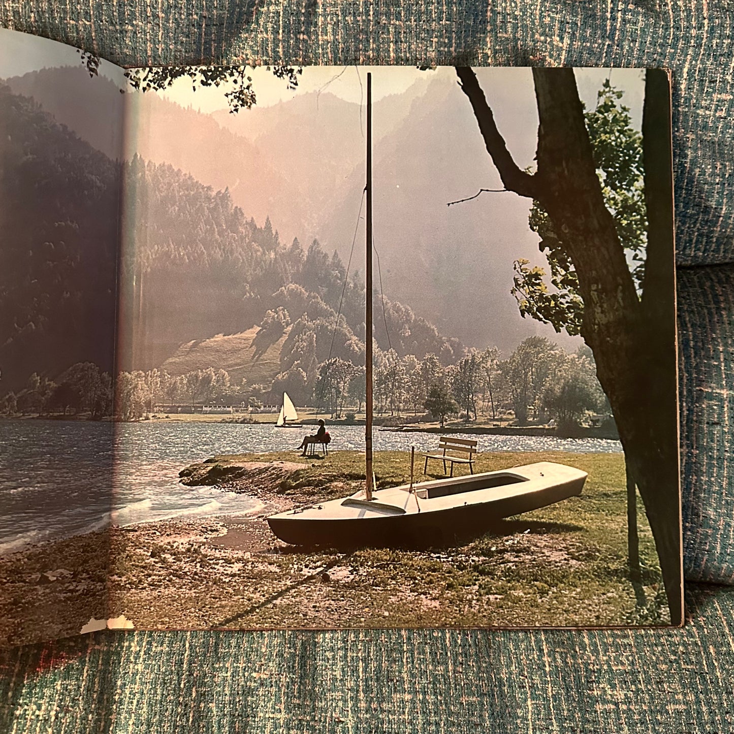 ALFRED HAUSE AND HIS TANGO ORCHESTRA - Golden Continental Tango 2LP (Japanese Import)